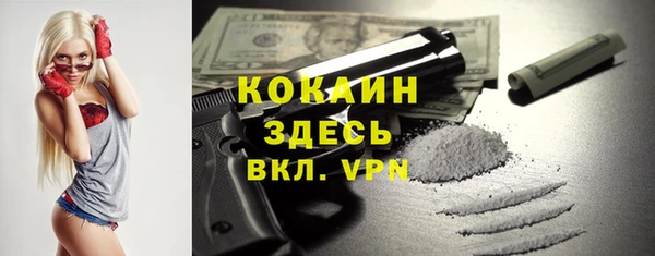 дмт Алзамай